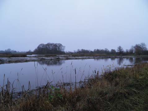 okt 2014: våtmark vid Vassmolösa utvidgades